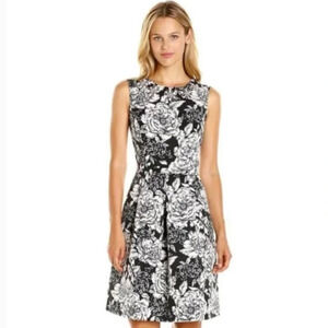 Adrianna Papell Black & Off White Floral Fit & Flare Dress